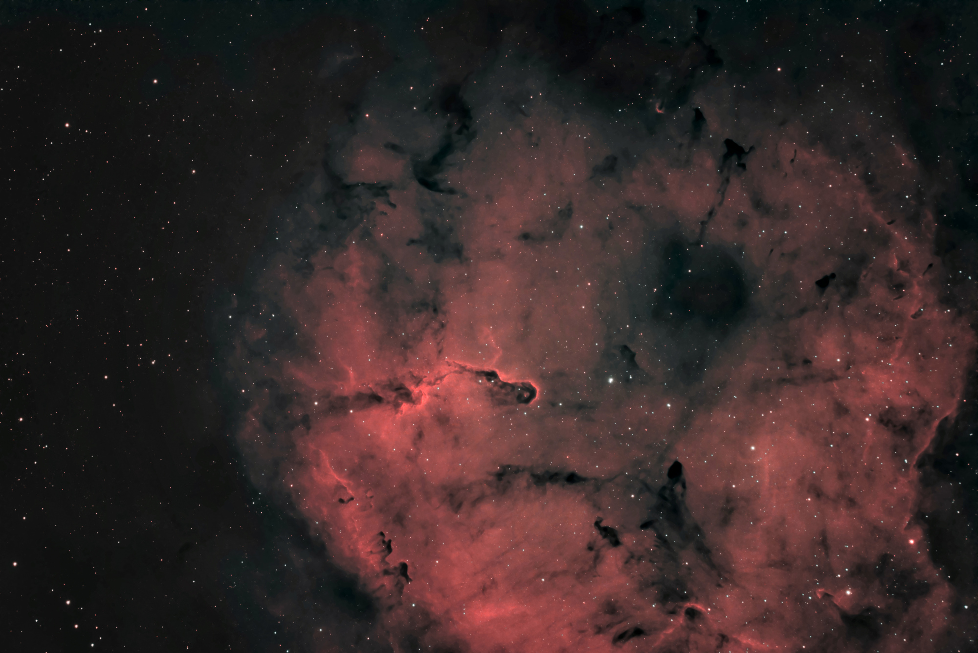 IC1396LRVB.jpg