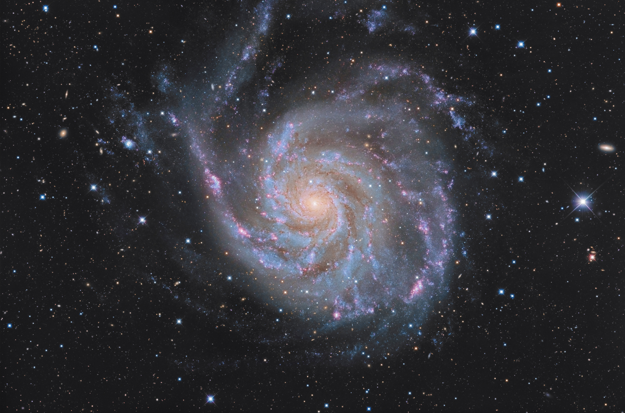 M101-final-definitive.jpg