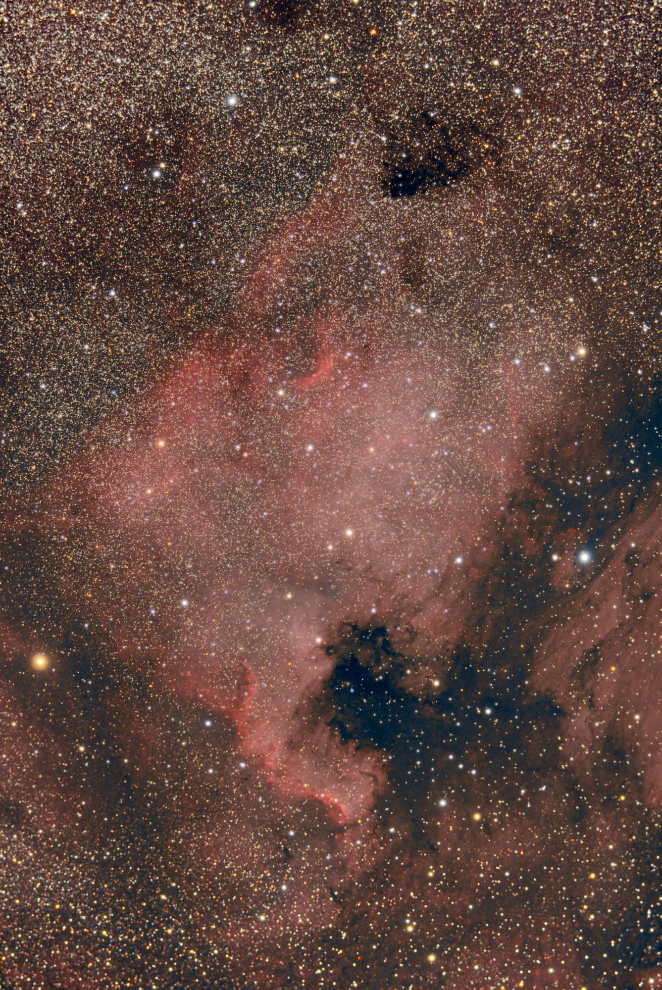 20210731-NGC7000-TS70-CR0.80-LPRO-XT1-800-L33X180-DOF-SIRIL-PS-50.thumb.jpg.558429a50a35759e671cbb7625ca6a82.jpg