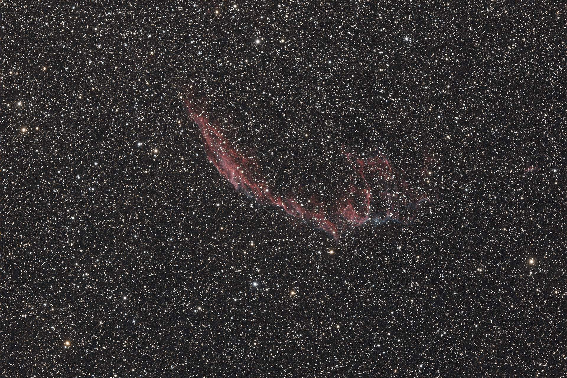 NGC6992_traitee.jpg.fd9cf5e2ad389ab7bffdfce1439ce274.jpg