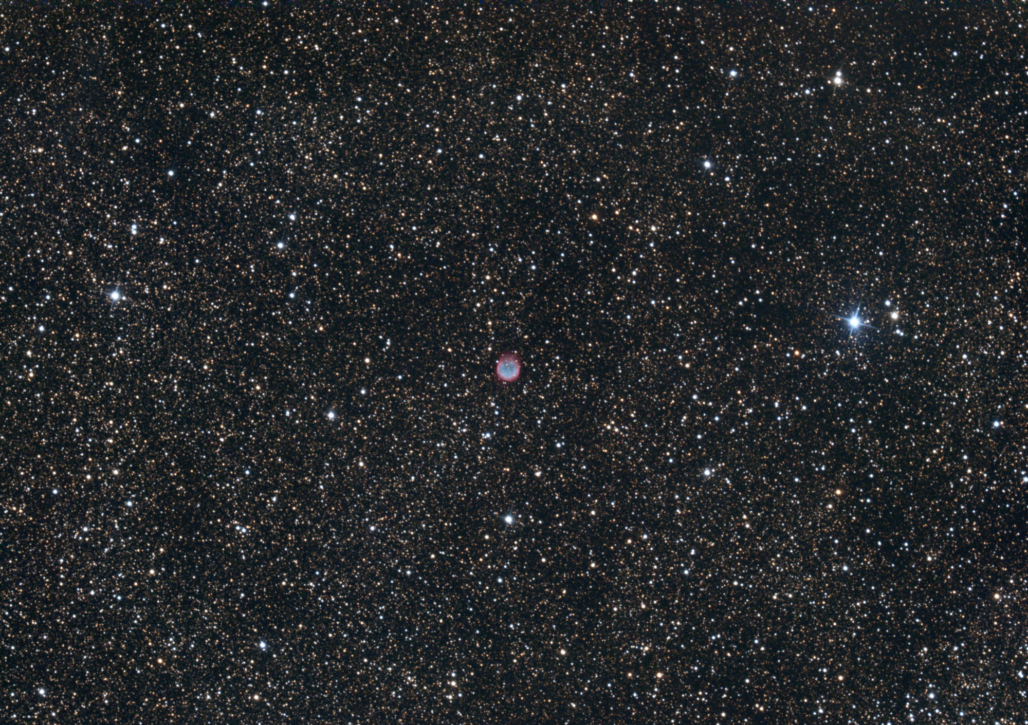 r_pp_NGC6781_stacked_50poses_miror_grad_photom_gimp.thumb.jpg.63b8f8cd4e584cc5a9f1dca1f217b08f.jpg