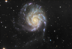 Galaxie M101