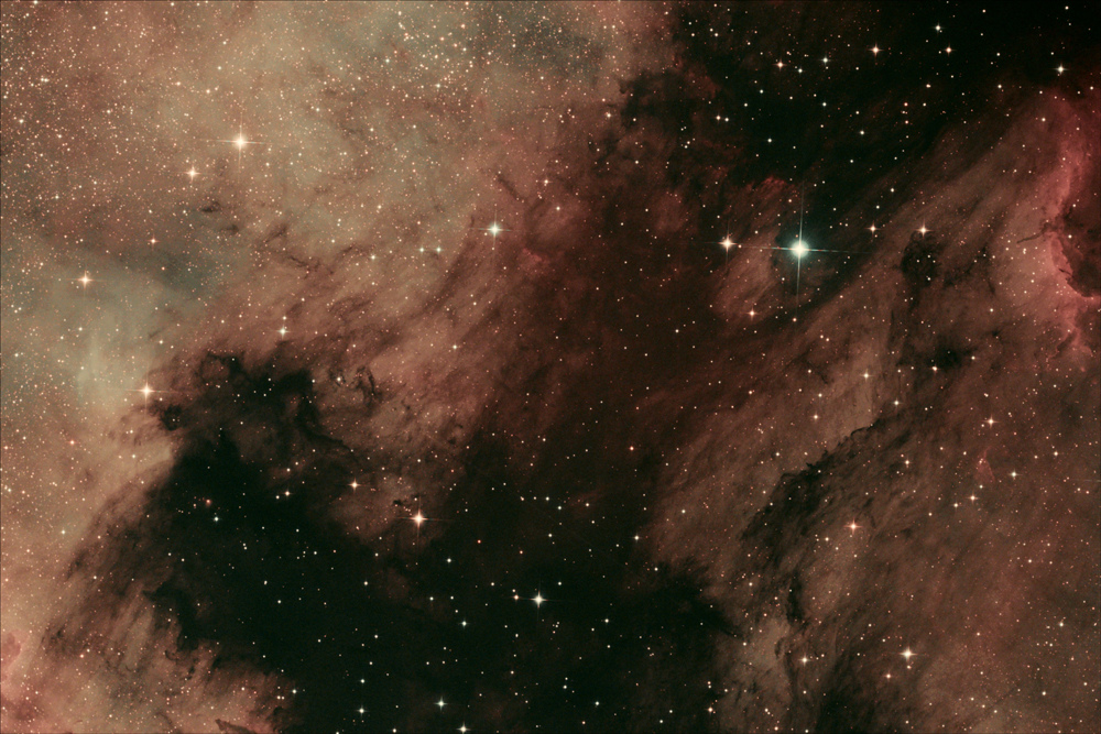 zzzzzzzzzz_NGC7000_Franck_77_01_1000.jpg.ca0acf5812f47df864c48240d06f50b1.jpg