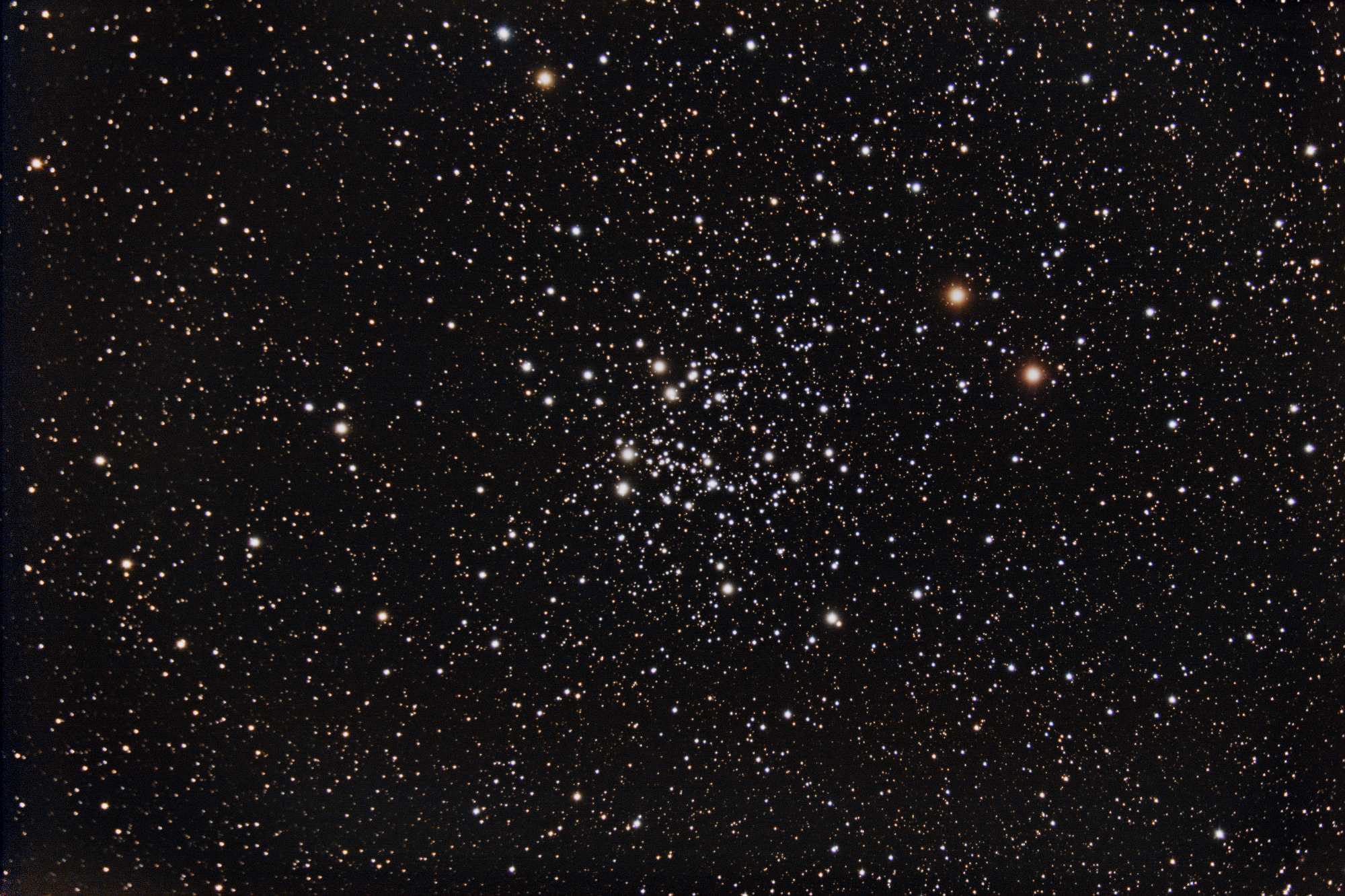 NGC663_SIRIL_CS2.thumb.jpg.aacddd75f6d94b0ea16e05f779cb0632.jpg