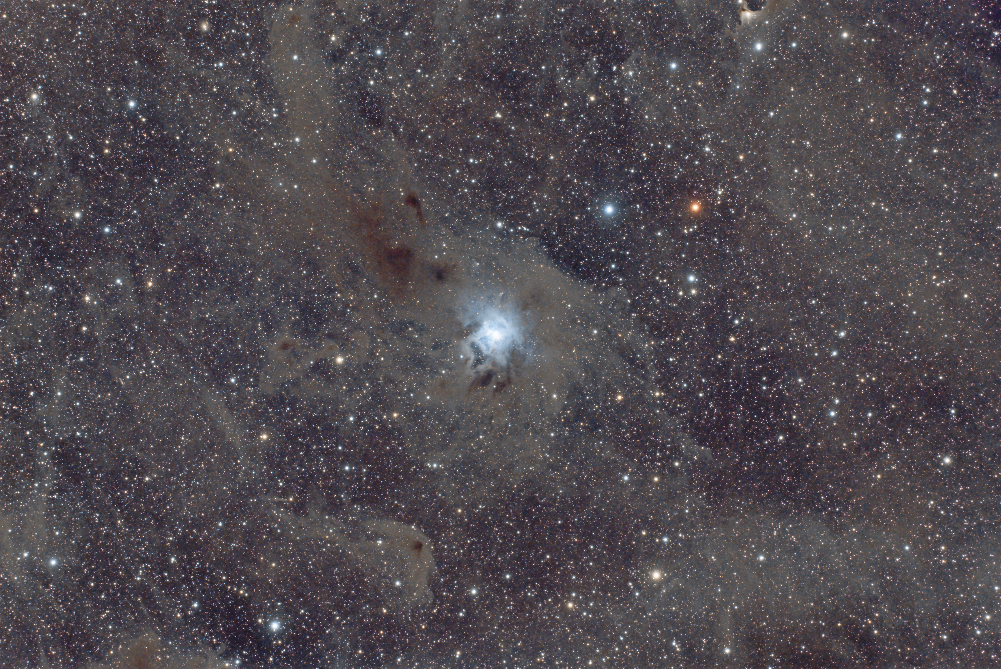 NGC7023-Solement-FSQreduc-LPS-48x300.jpg