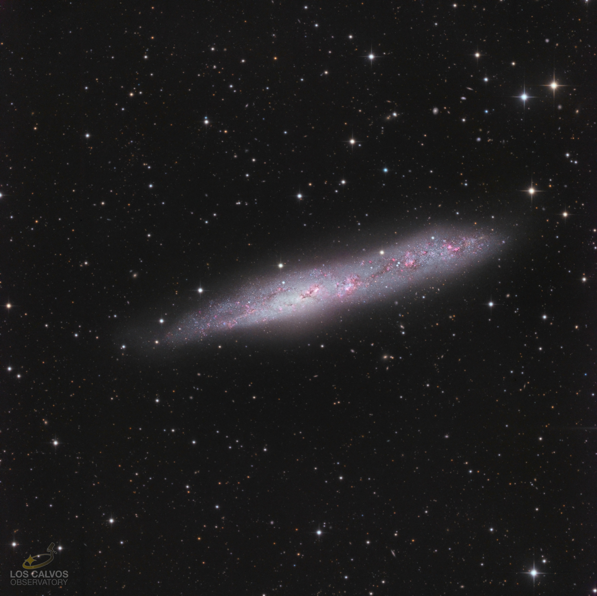 NGC-55_RHaGBOIII_Finale  COLORSAT ETOILES ET COULEUR HA  TAMPON PIXELS BLEUS  FILTRE PASSE-HAUT copie LOGO.jpg