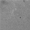 2021-10-24-1318_2-L-Sun 80ed Quark Chromo.jpg