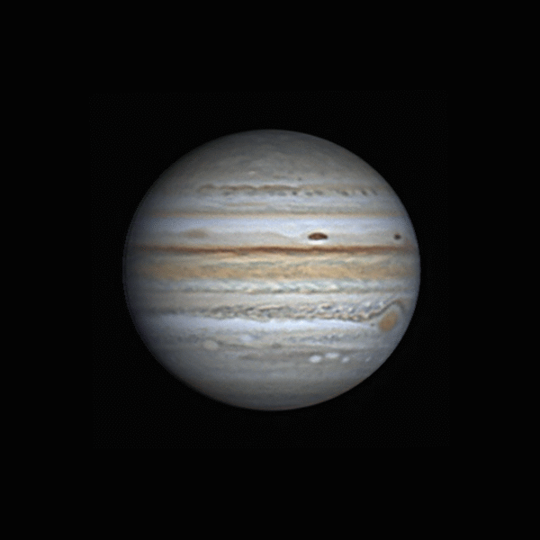 Jupiter_2021-11-11_16h23.6-16h40.5(TU).gif.a46569a6b9f79ed6e550b95111c06266.gif
