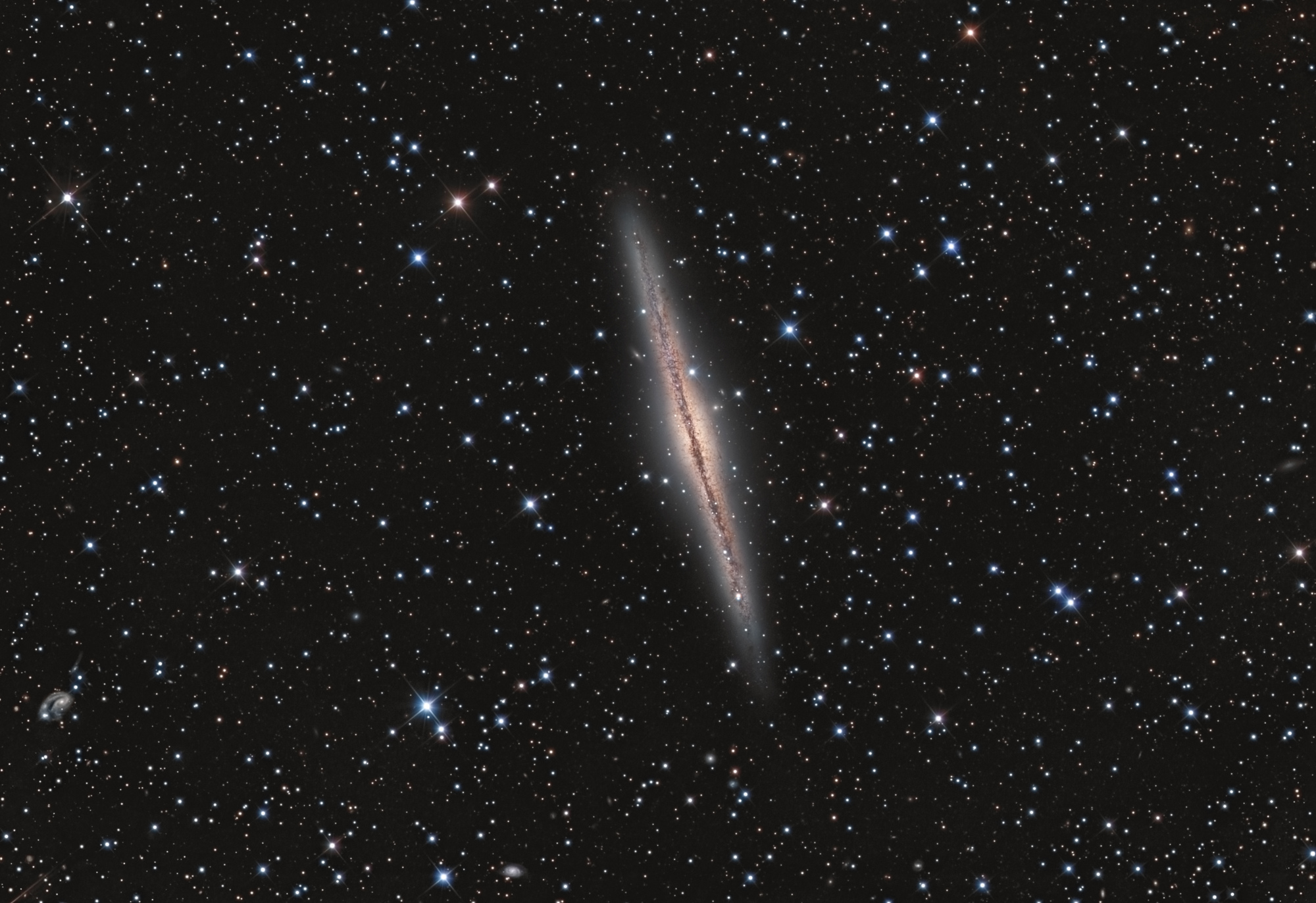 NGC-891-final3.thumb.jpg.80f49a22d8df9f610d04f4cc3682664b.jpg