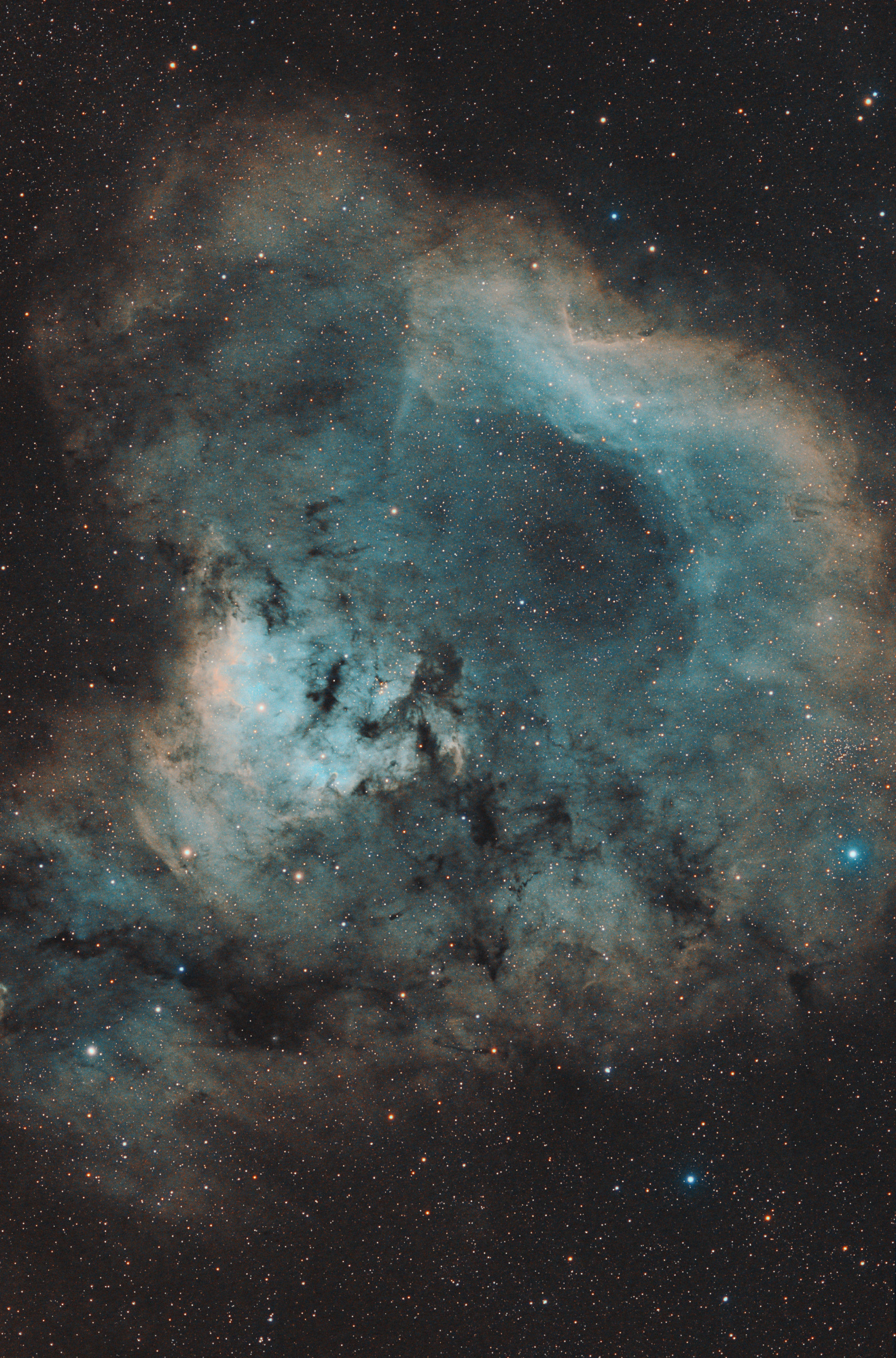 NGC7822_SHO_V3_PS.thumb.jpg.120c8b86f7c0679e3436b59b4e9789ca.jpg