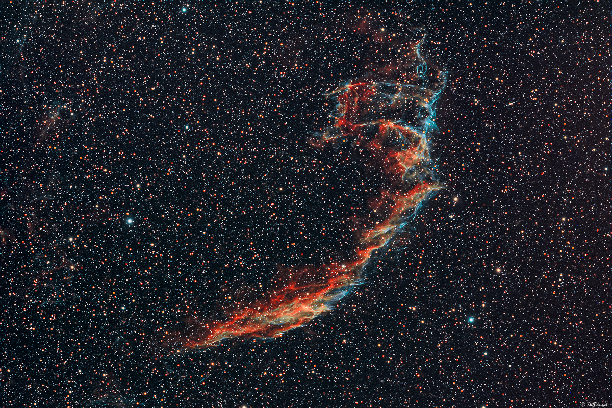 61bfae9573c5e_GrandesDentelles-NGC69926995-20210814-Web(2sur2).jpg.e131b964e0da3ca0c6a2c0c860c2e7d5.jpg