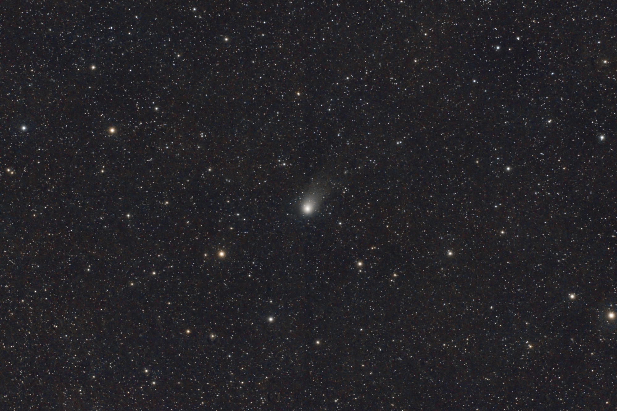 Comète C2019 L1 - Atlas_vierge.jpg