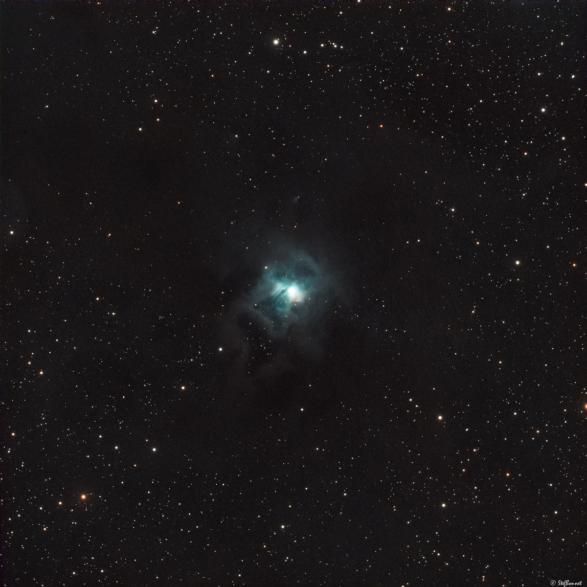 61cd8e705123b_Iris-NGC7023-20210819-Web.jpg.7daef832287f0ce32daaa18492c37094.jpg