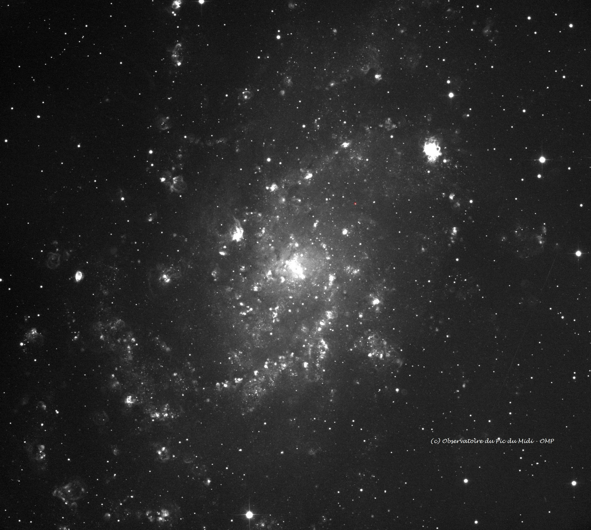 M33HA.jpg