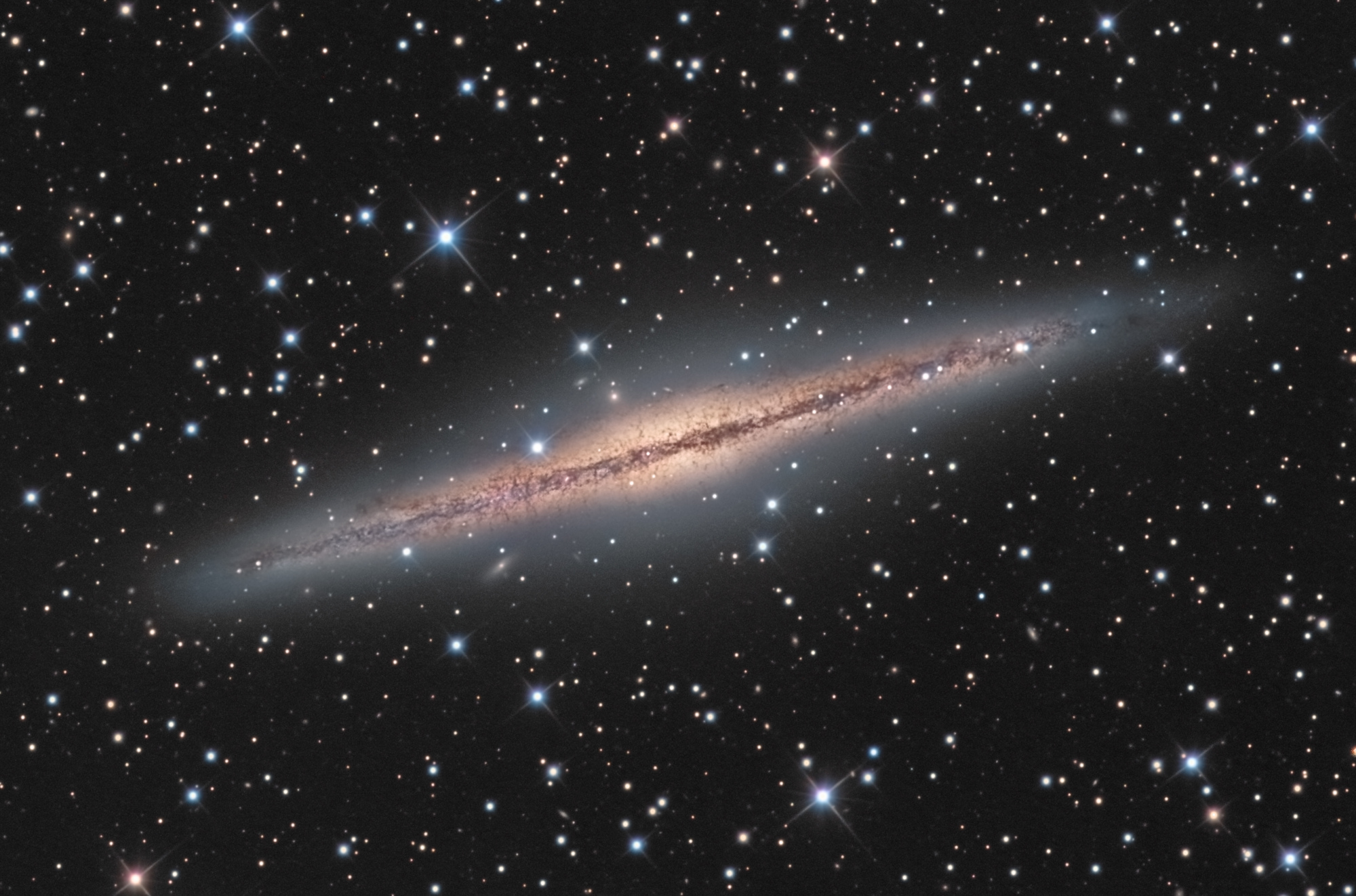 NGC-891-final2-crop-web.thumb.jpg.9a6e5bfa4ac17568f6b9584fc2b5b8ad.jpg