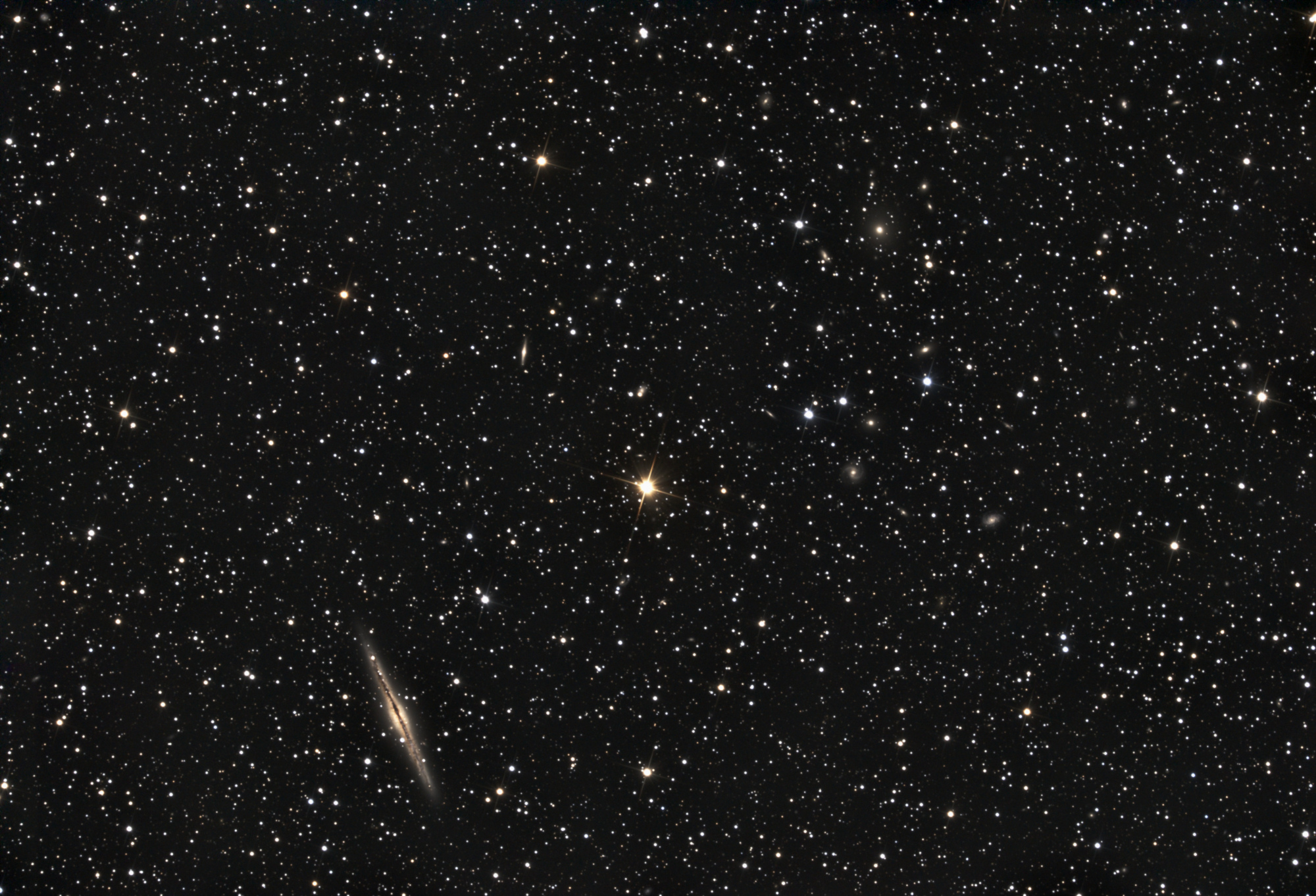 r_NGC891proc_stacked_305poses_miror_grad_photom.thumb.jpg.1e35282b148dbe1a30531581a3615b39.jpg
