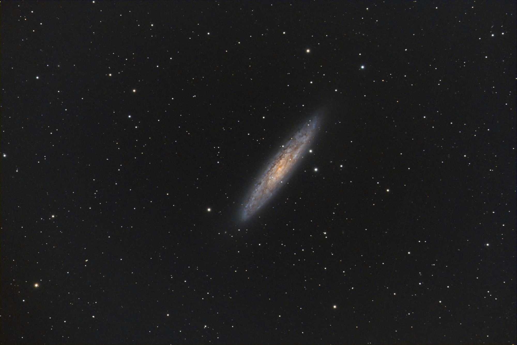 NGC 253_SIRIL-1-iris-1-cs5-2-FINAL-5-x.jpg