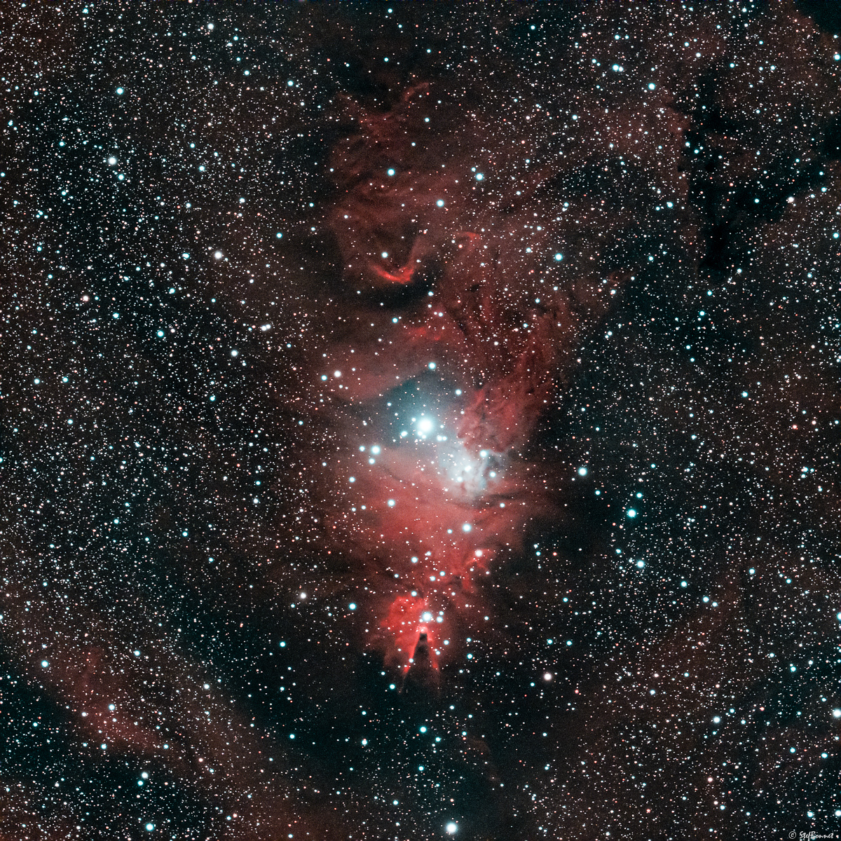 61f52253412ef_NGC2264Cne-FlouGauss04-Web.jpg.03400a866ea8b7fdcb4b81ed92102071.jpg