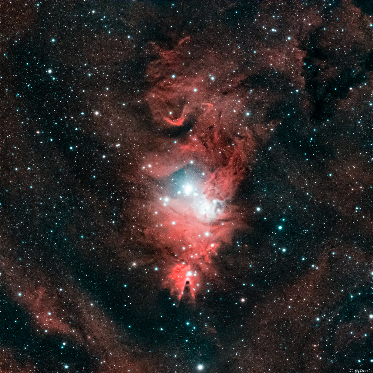 61f68f267ca98_NGC2264Cne-FlouGauss04-StarRed-Web.jpg.4190c3ad270dfc5aa66cb8e7c7edf5e0.jpg