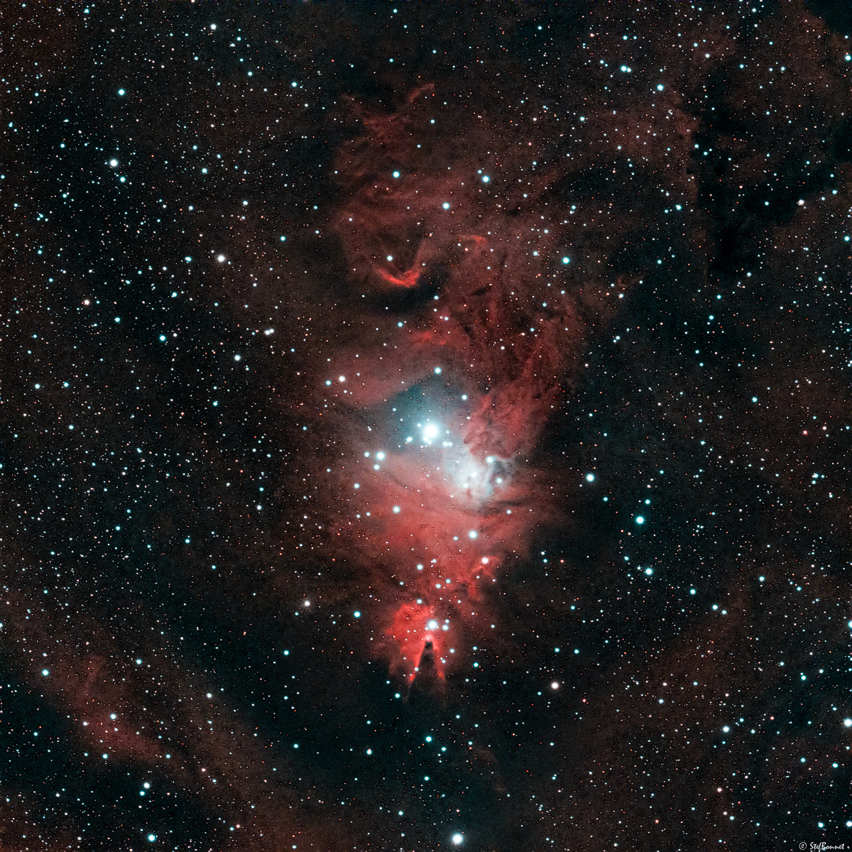 61f6b51feee36_NGC2264Cne-FlouGauss04-StarRed-Web.jpg.d115d72a05e260a6e51cc8e8040afc8d.jpg
