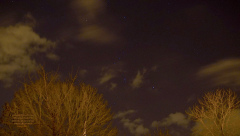 Constellation d'Orion et Nébuleuse   DSC04237 copie.JPG