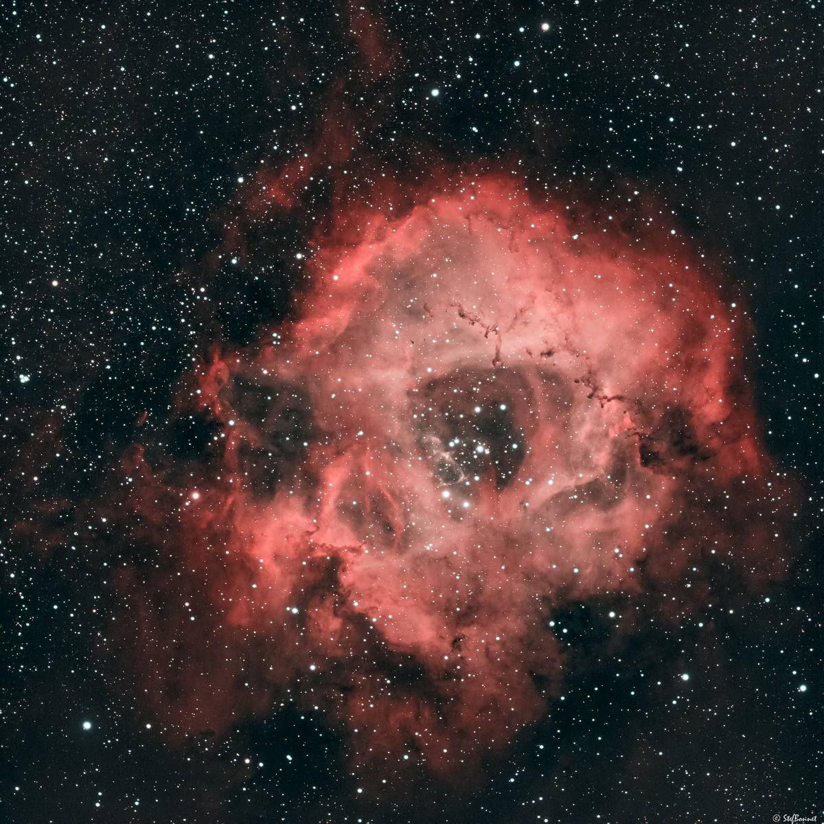61fe62903dd14_NGC22392244Rosette-Red-Web.jpg.6ade5701a0902b52439b93d32df8a1f4.jpg