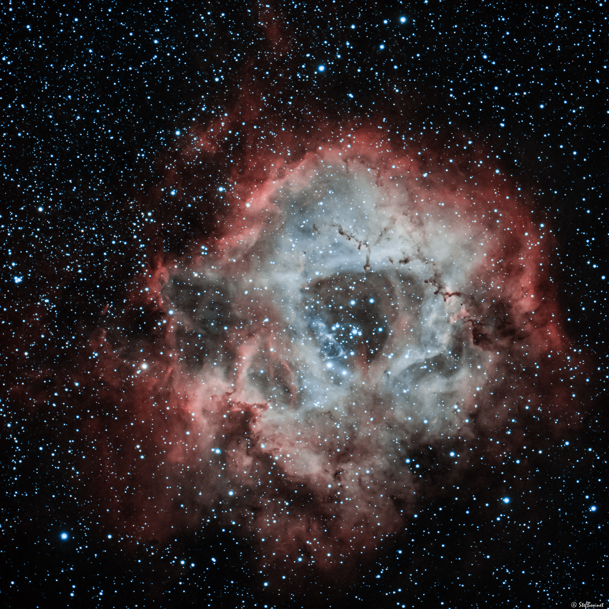 61fe635b730fc_NGC22392244Rosette-HOO-Web.jpg.50496041f2ad23dd499bd53ec1d2897a.jpg