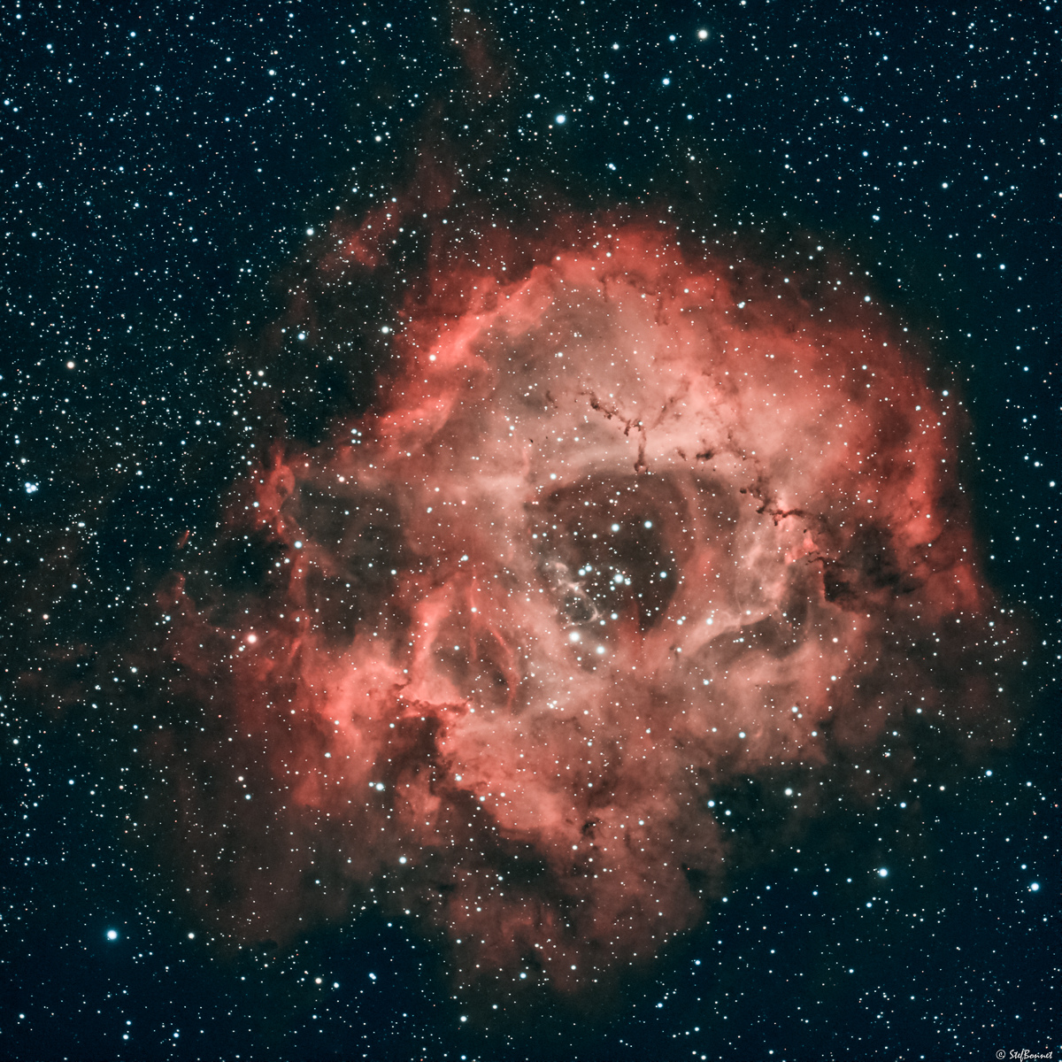 61fe64253fbeb_NGC22392244Rosette-RVBHOO-Web.jpg.ae03a5a2d8c9991e78f56d5927f54a3e.jpg