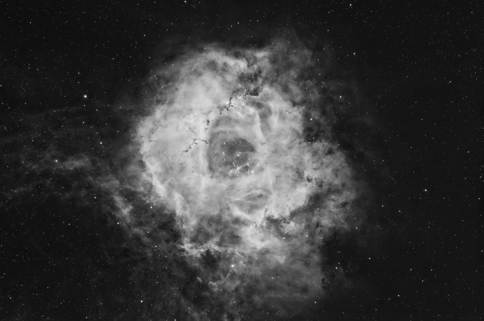NGC2237 Rosette Ha Integrated 11x900sec NL6crop2.jpg