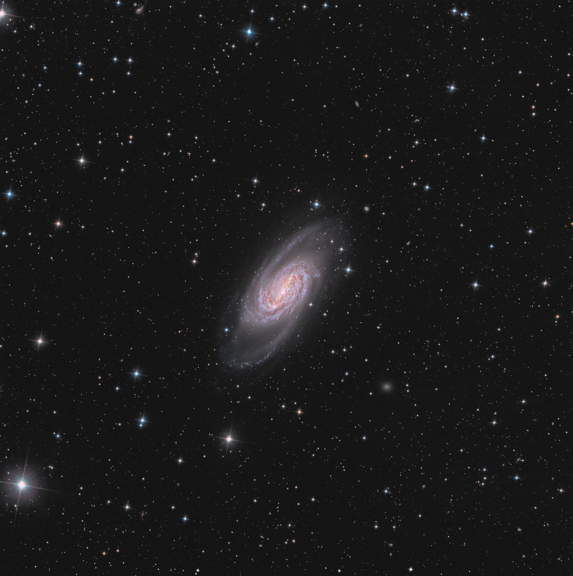 NGC-2903-LRVB-en-cours-5000_7.thumb.jpg.106c8933f0eec951dd3d0993f0ab2a88.jpg