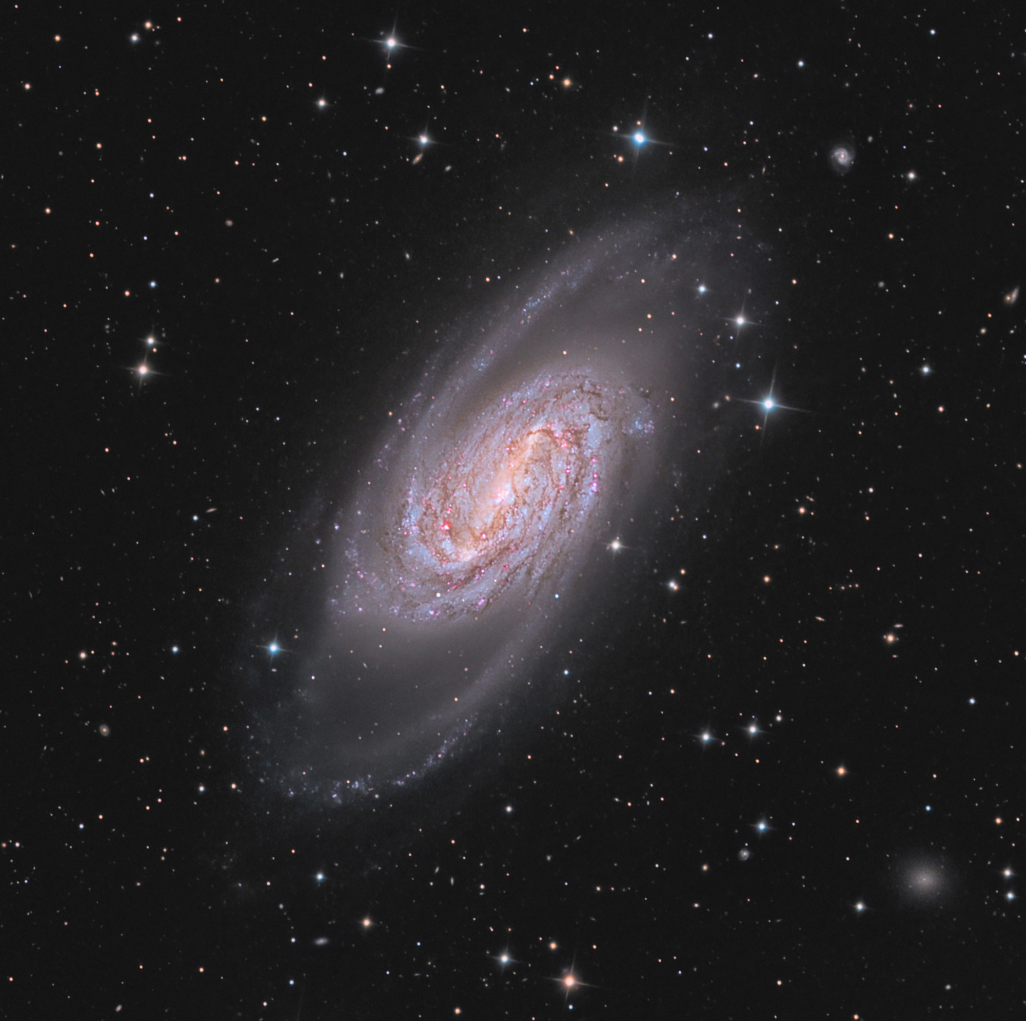NGC-2903-LRVB-en-cours-5000_7_zoom.thumb.jpg.7ed7dca8b3a54df19b640d1751138188.jpg