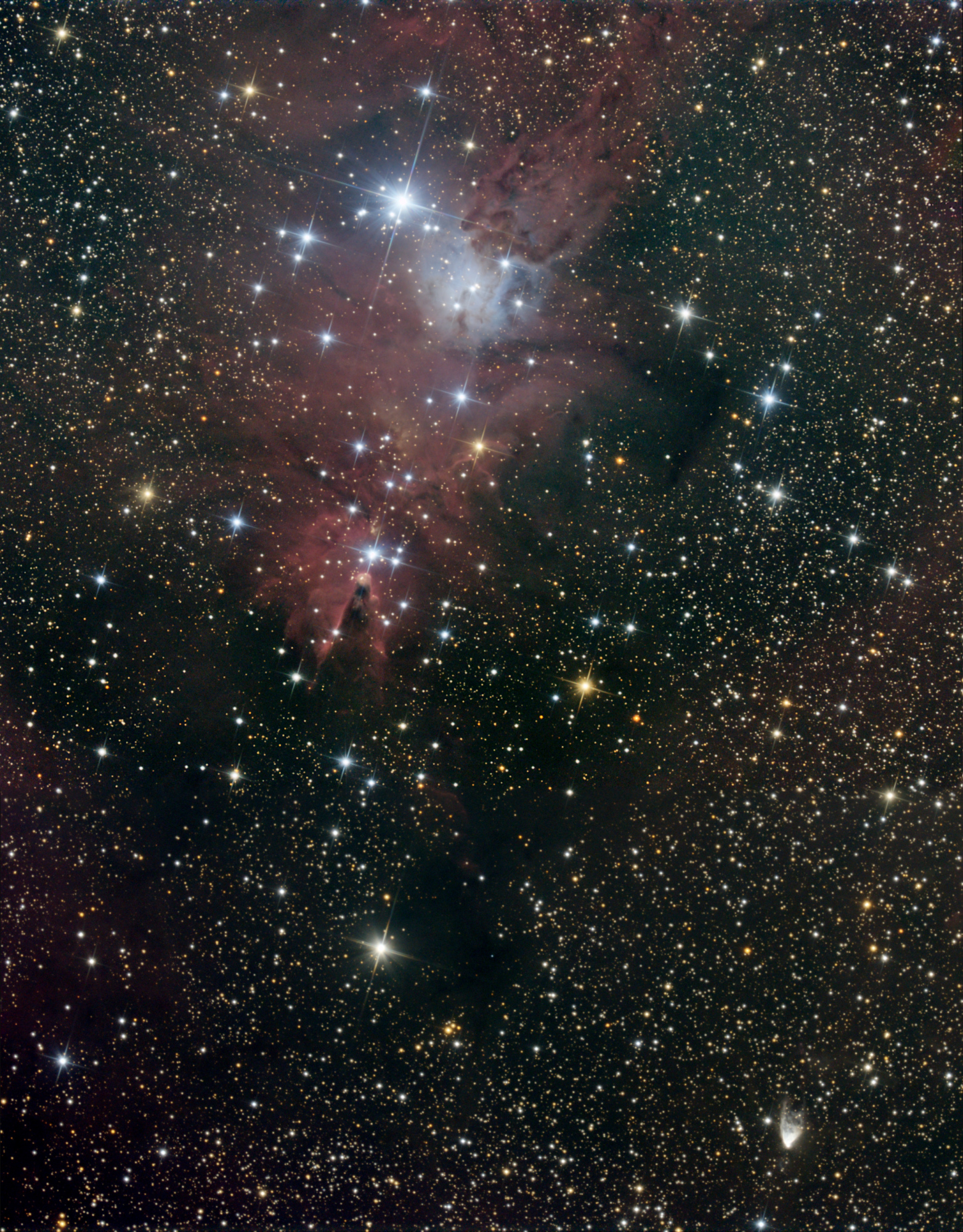 NGC2264_NGC2261_Mosaique_2arc_pix.thumb.jpg.9bbbdecce520ee6e84ec8c6f718a0edd.jpg