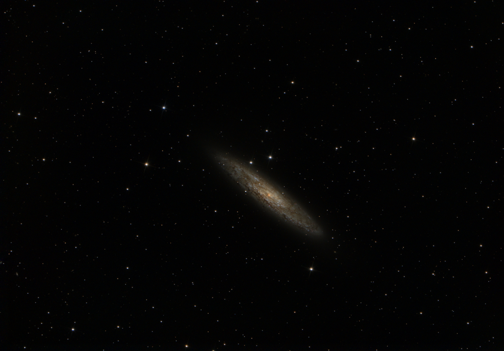 NGC253_162poses_Asinh_Histo_Sat_Gimp_moins_jaune.thumb.jpg.f53a90fa4d0e8839986b15c18615d14c.jpg