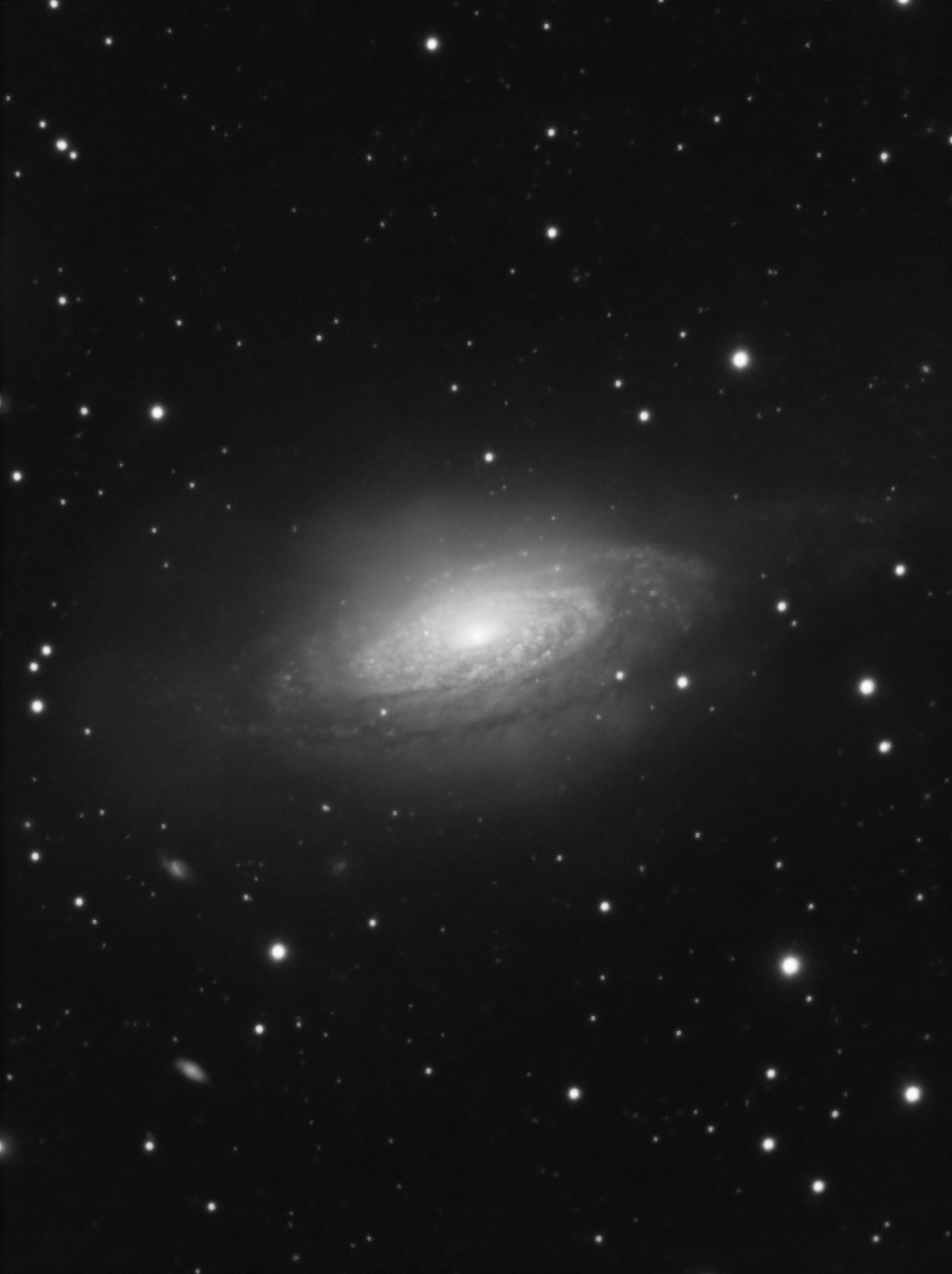 NGC3521mono.jpg.6f8c543de2b595cc258f1dd223f337f3.jpg