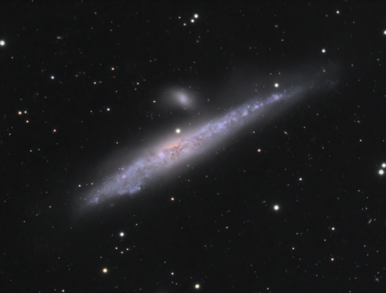 NGC4631-7-fevrier-2022.jpg.2aa21bd6d2278403f3e20fa96a484fbb.jpg