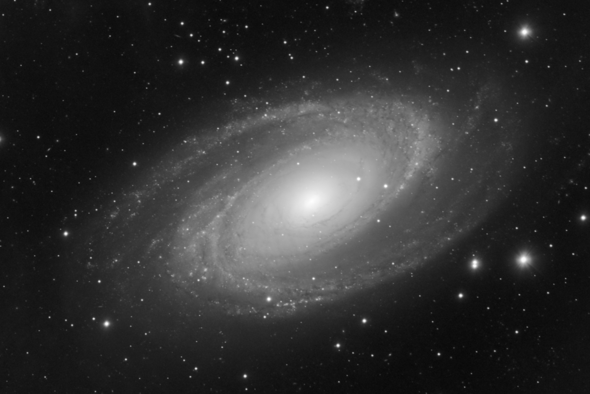 M81_M82_820_x_30s-Luminance-crop M81.jpg