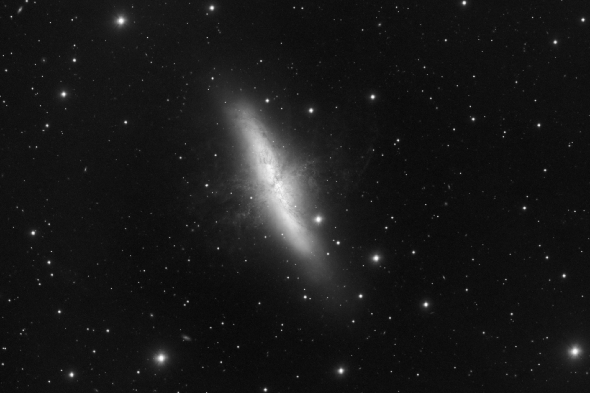 M81_M82_820_x_30s-Luminance-crop M82.jpg