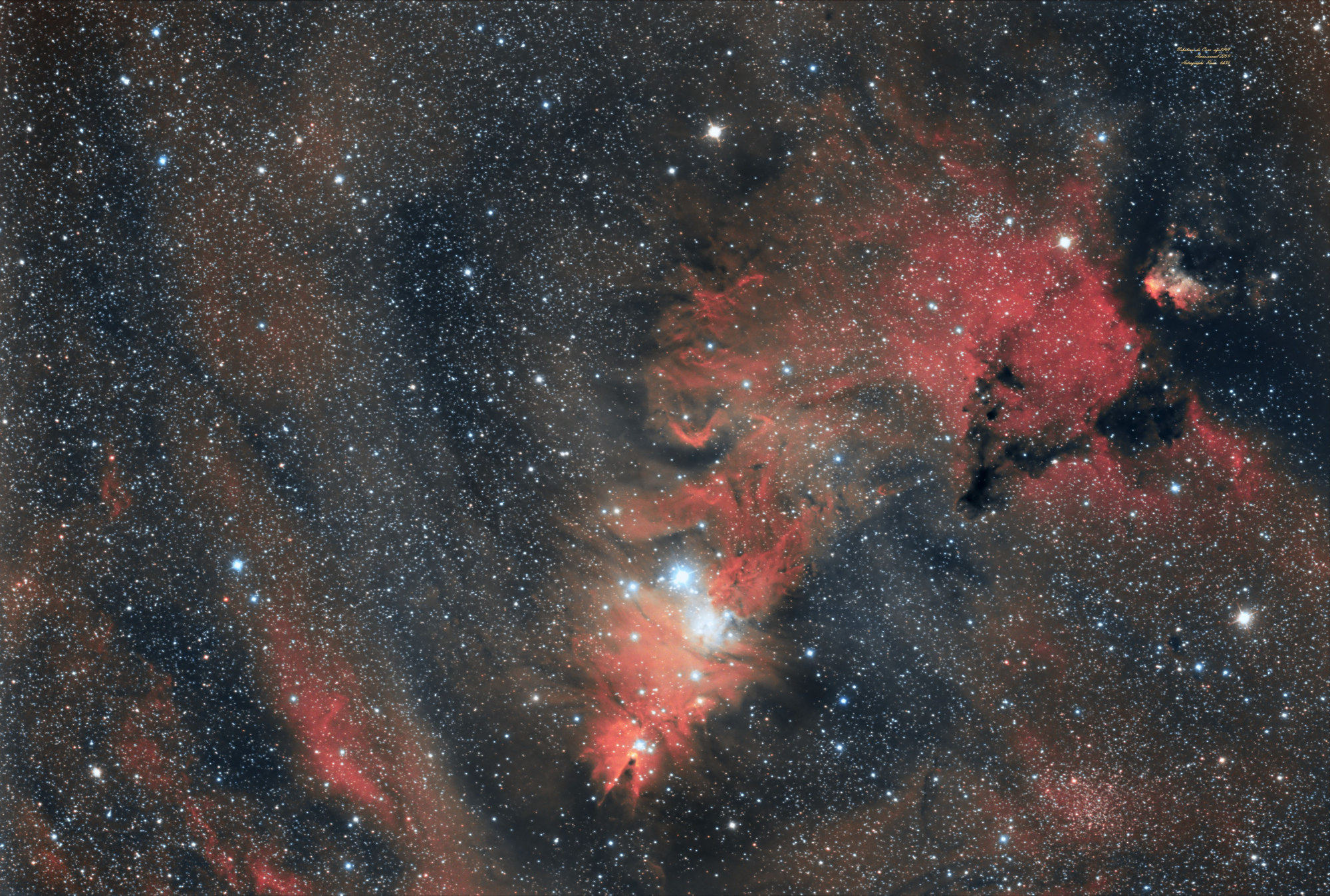 LE_CONE_NGC2264_6H35_ABEv3-Finale (3658 x 2464).jpg