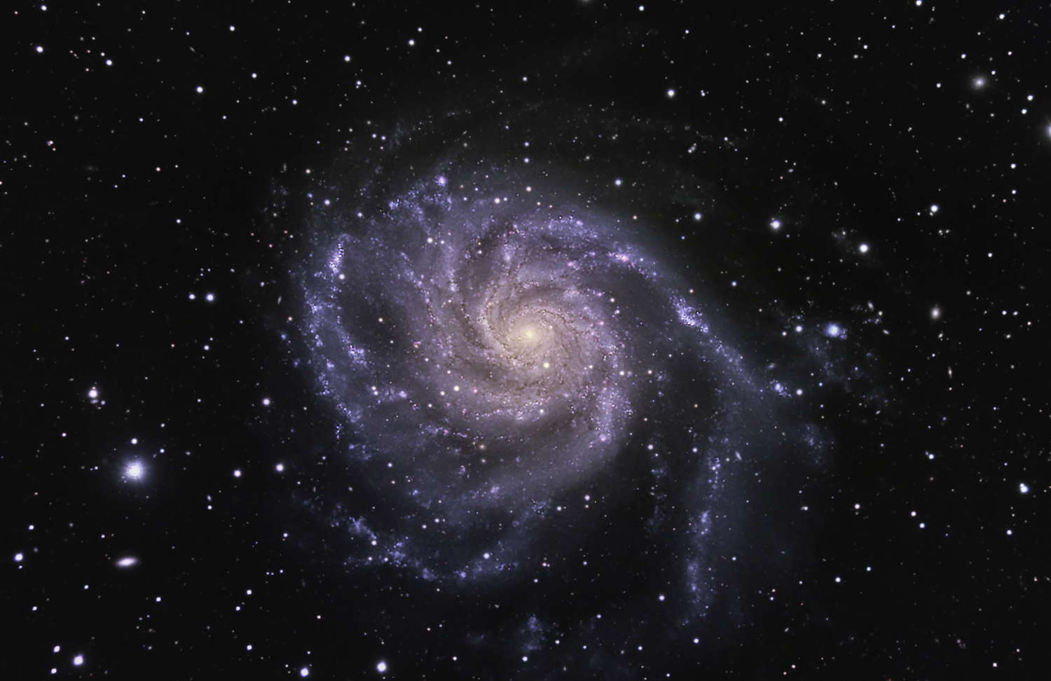 M101_Color_4.jpg