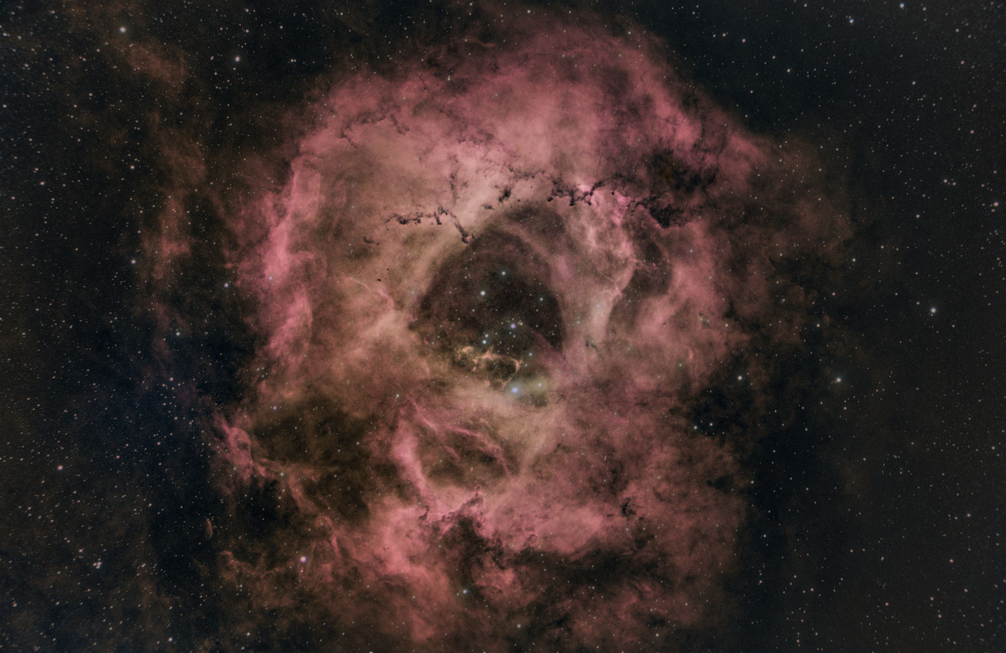 NGC2244_SHO_JPEG.jpg