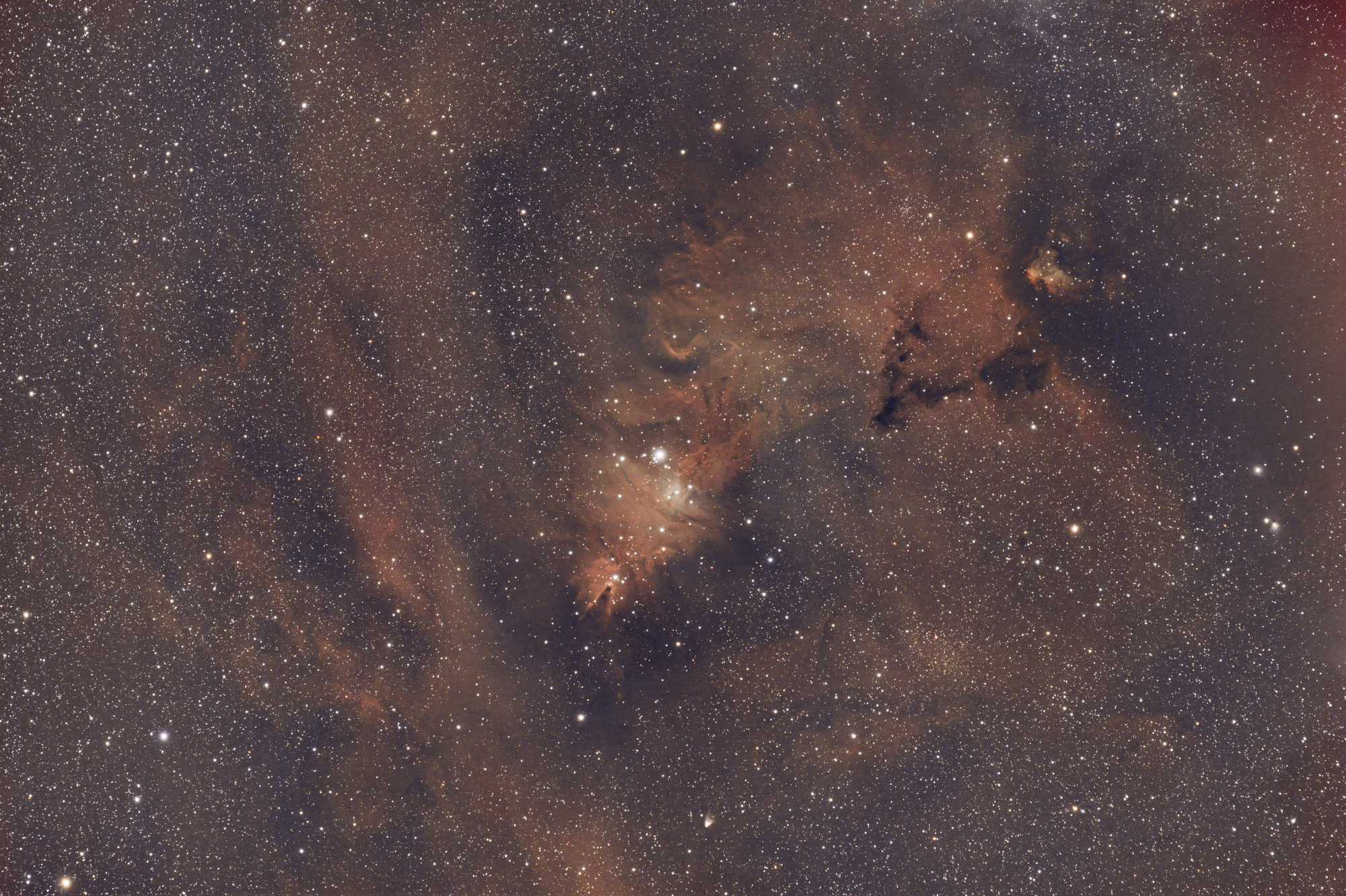 NGC2264_2600MC_62Q_(1_sur_1).thumb.jpg.ef76231fcebacc5eb5fdfbb8aa4e03bd.jpg