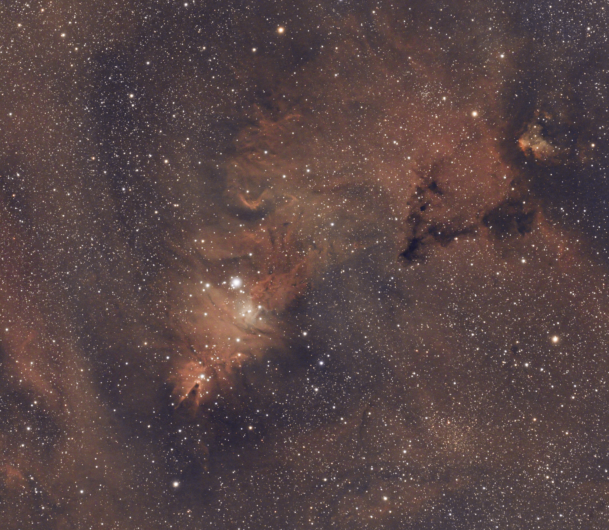 NGC2264_2600MC_62Q_crop_(1_sur_1).thumb.jpg.e8b5ed542ffbb66382a2fe3b19e901e5.jpg