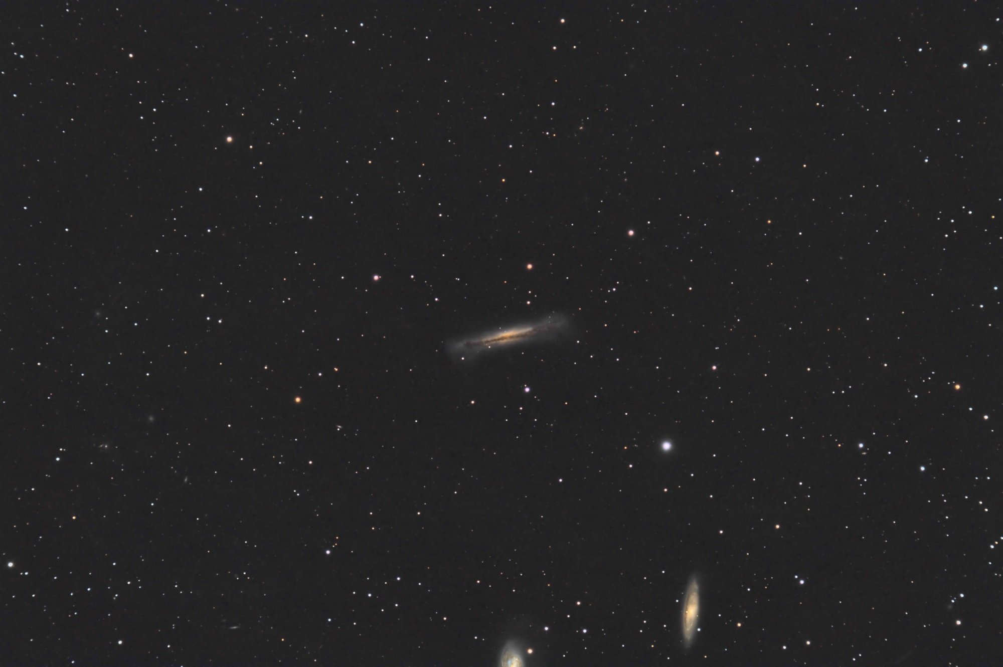 NGC3628_RGB-ED80-siril-PI-finale.thumb.jpg.24fd298e230ed67c57d6eb82288cce89.jpg