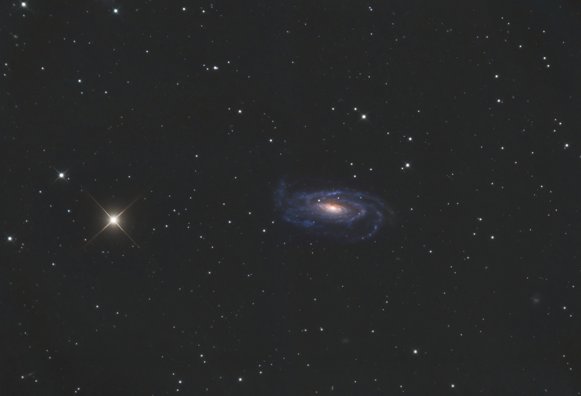 NGC 5033.jpg