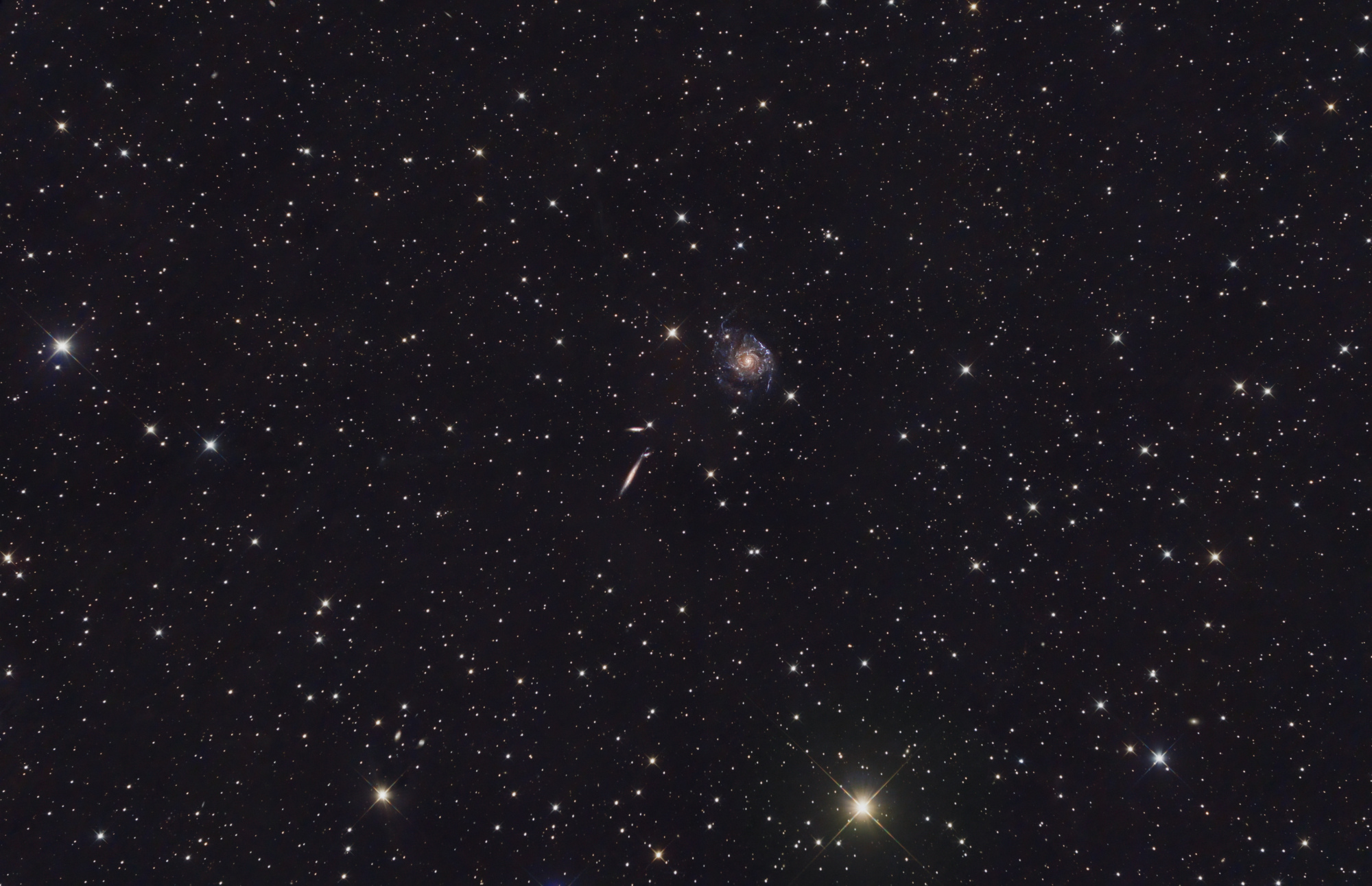 newton a7s avril 2022 galaxies ngc2805-flat8b.jpg