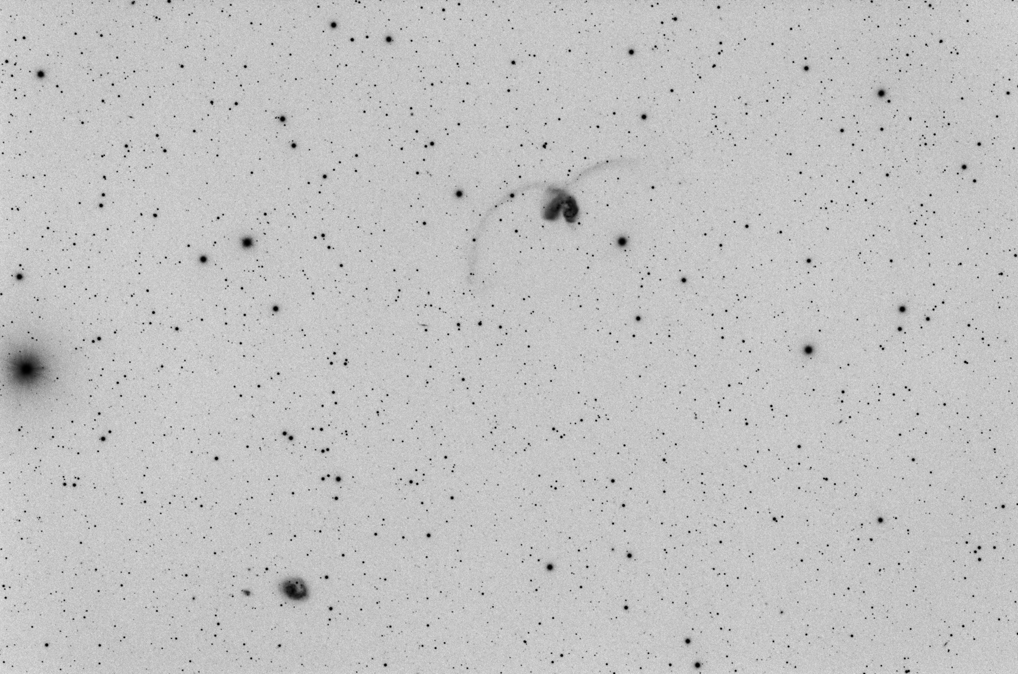 NGC 4038_SIRIL-1+4-iris-2-cs5-B-FINAL-3n.jpg