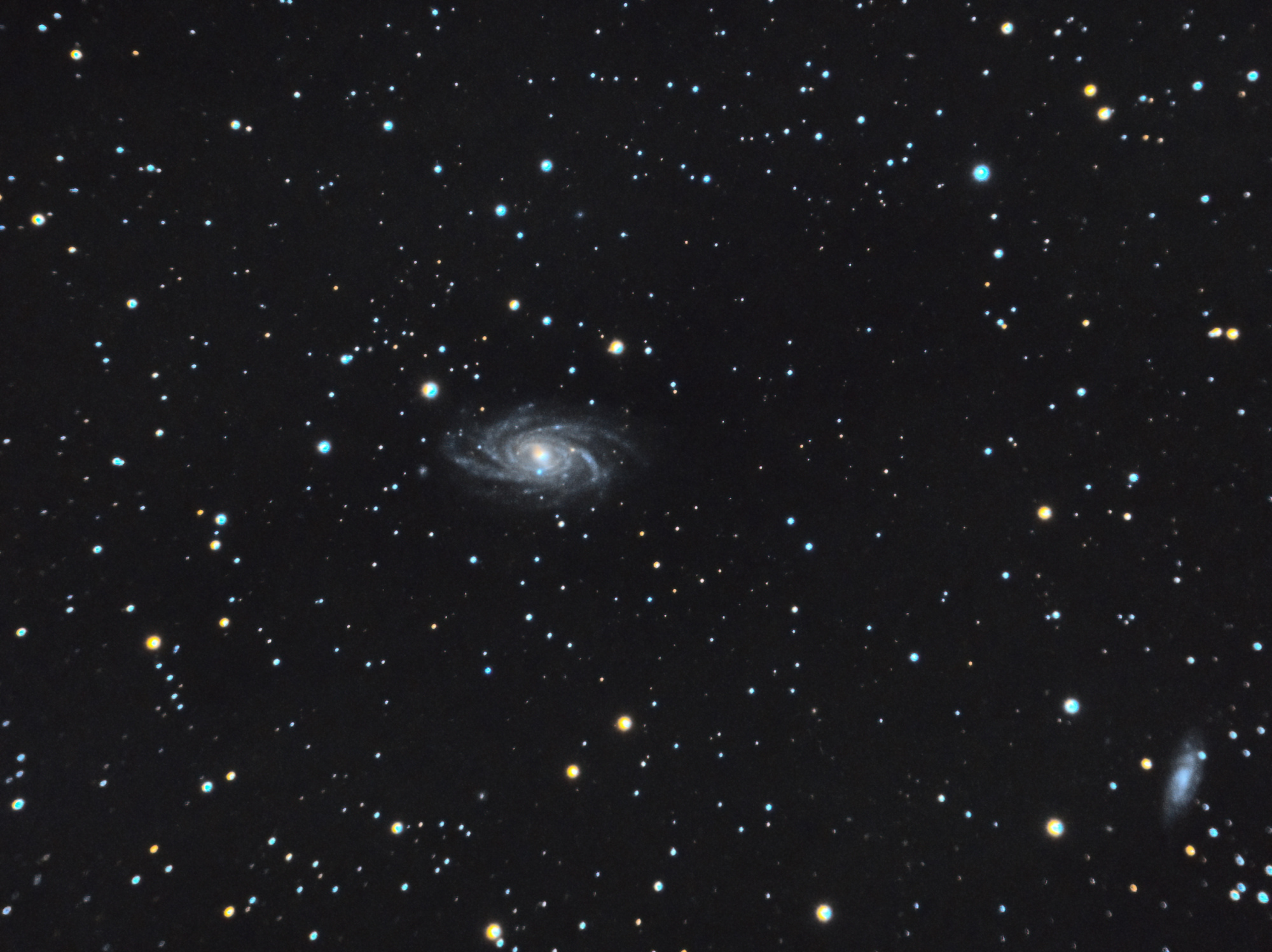 626989ea7f6d4_NGC2336_RGB-C8-sirilPix-finale.thumb.jpg.0eda391fd871e099254aa96b3adad2ca.jpg