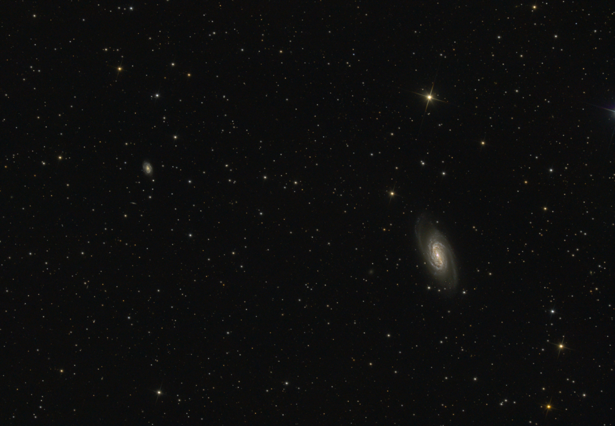 NGC2903_60s_189poses_Stud_crop_miror_grad_photom_Asinh_Sat_Histo_1v5Arcs_pixel_comp.thumb.jpg.3d94f6a420843dc833cc2e95759aa913.jpg