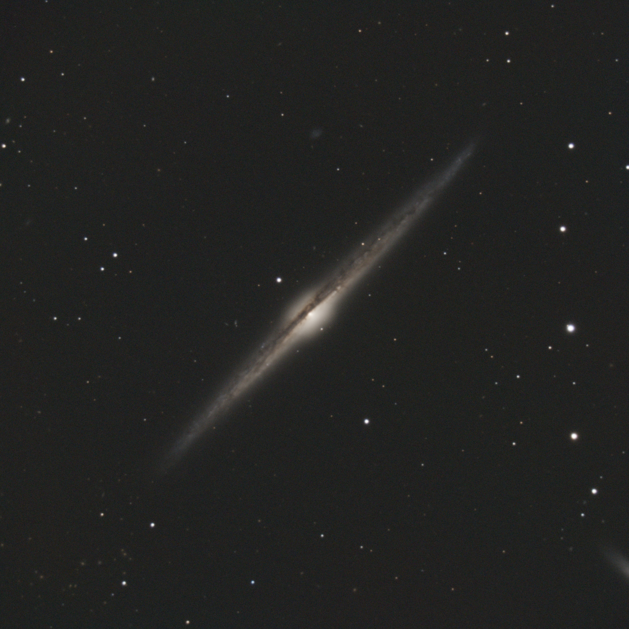 NGC4565_2022_03_28_3sets_SSFW_DOF_70im300s_csr_eG_ecp_th0.thumb.jpg.c93f3034fb3f90a3b24f81bc030edc2e.jpg