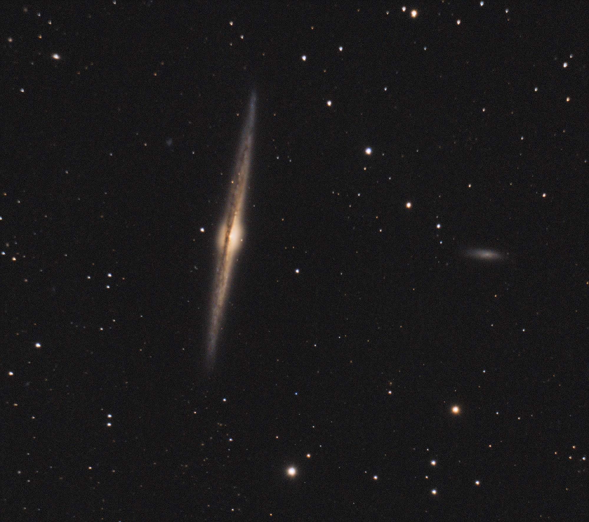 NGC4565_DSLR.jpg
